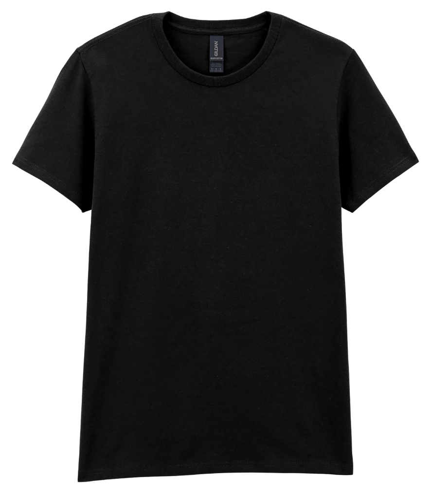 Women's Gildan Heavy T-Shirt - GD006